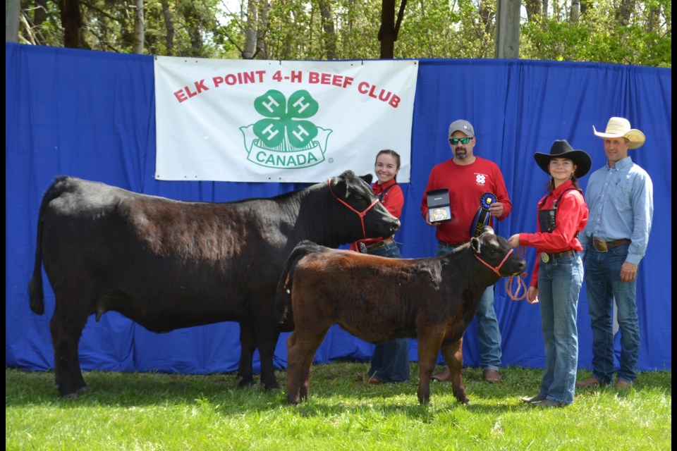 Hailey Danyluk was a multiple winner in the Female Show, shown accepting the Barrett Built Ltd. Reserve Champion Female trophy for her 3-Year-0ld cow-calf pair, the calf shown by sister Alexis, from Barrett Germain, after first accepting the Crestview Angus Grand Champion Female award for her 2-Year-Old presented by judge Ryan Noble. 