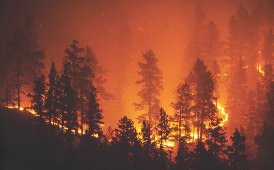 forest fires heat
