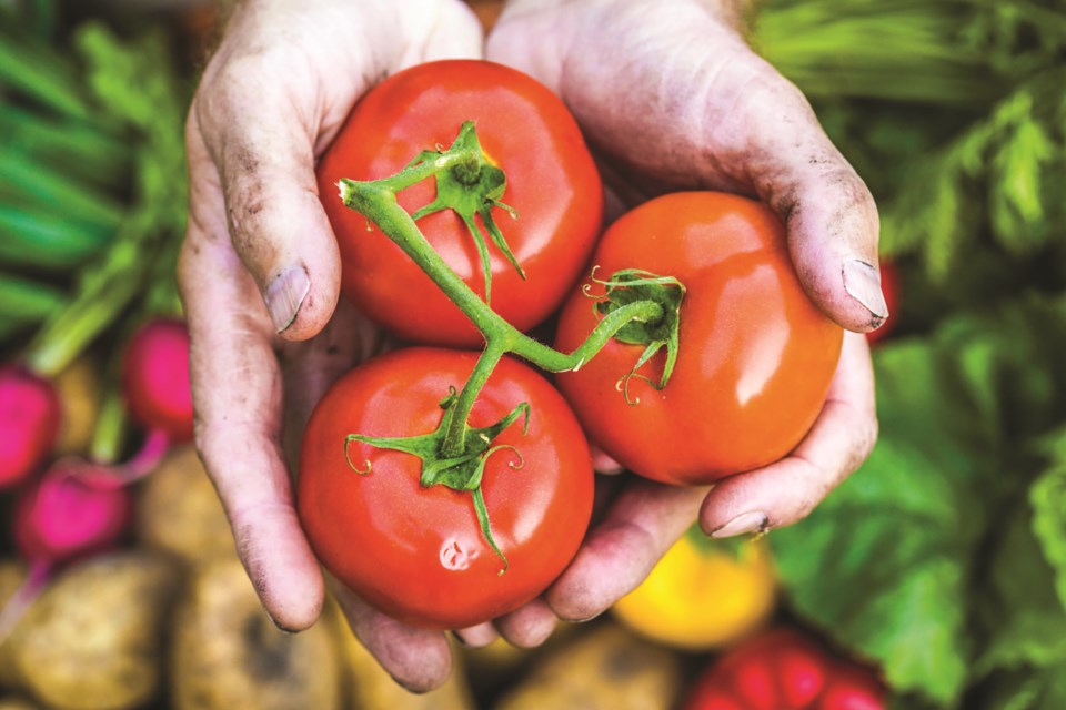 garden food