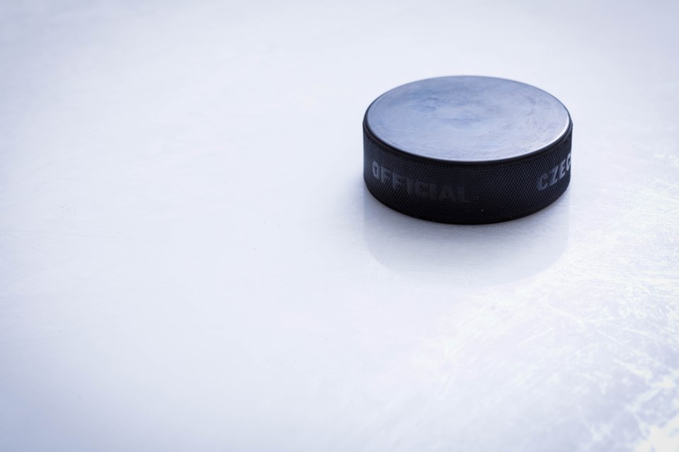 Generic Puck