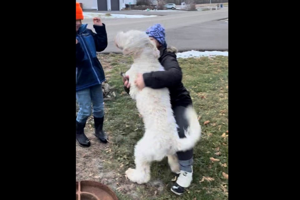 Hugs and treats for George as he reunites with the family after being missing for 50 hours.