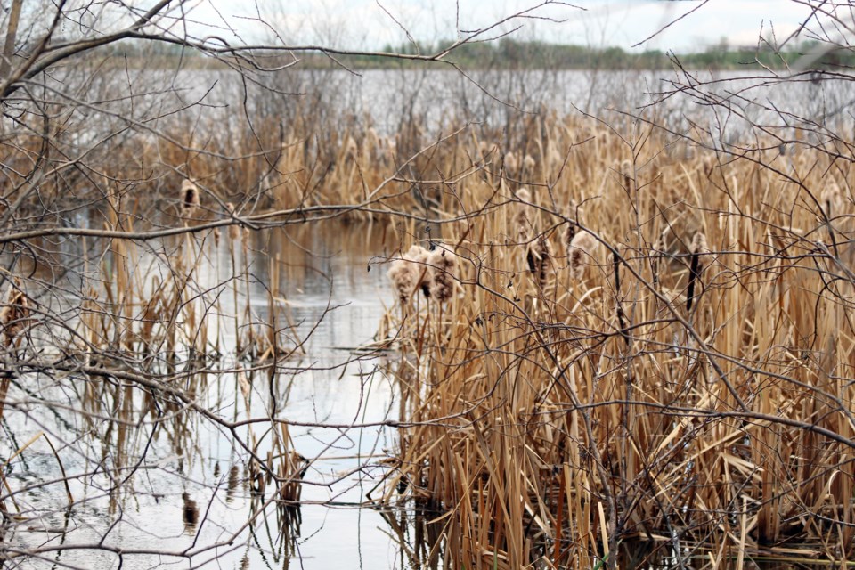GMLakeland003