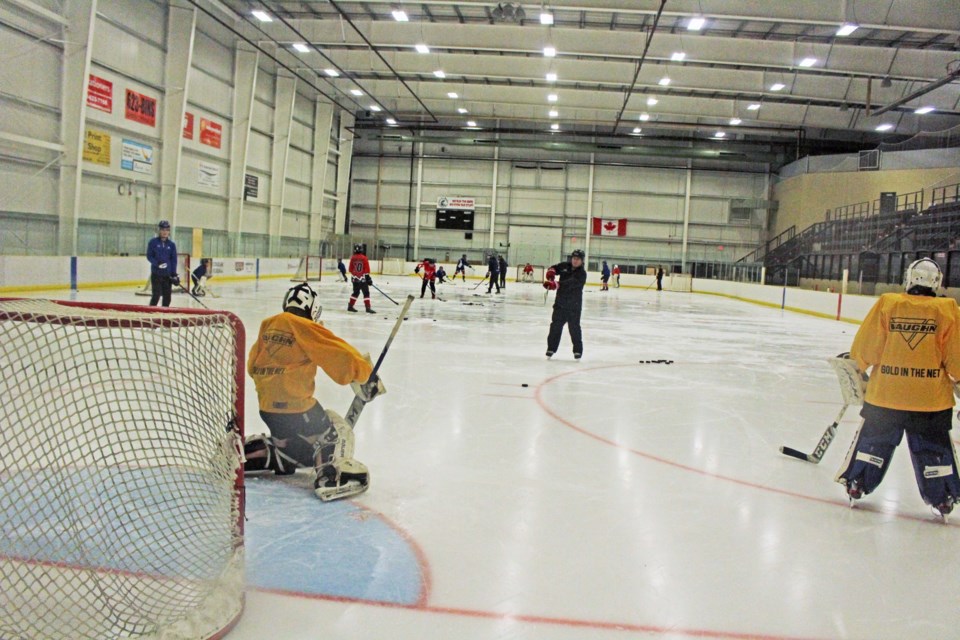 Minor hockey goalies from around the region were getting expert instruction over the weekend from St. Albert-based Gold in the Net staff.