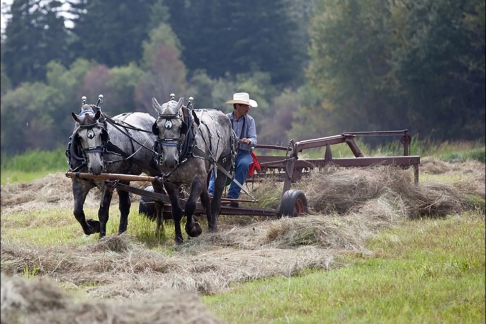 Haying in the 30's continues to support those in need through its fundraising efforts, which includes the August long weekend event. / File photo