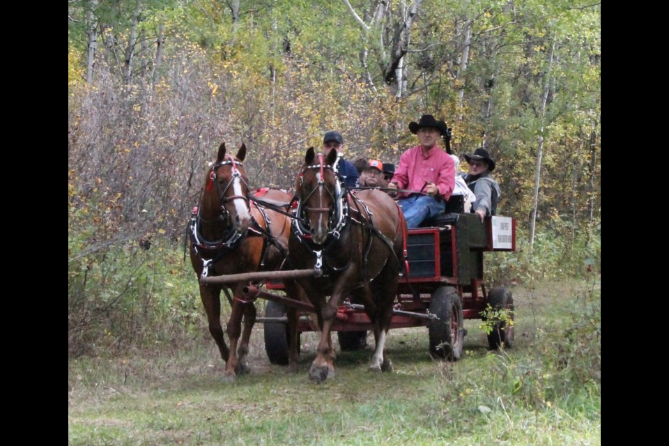 Vicki Brooker photo
The tree-lined trail between Heinsburg and Lindbergh was just beginning to show the first touches of autumn gold as Lionel Romanchuk and his team pulled into the Middle Creek rest area, bringing a load of passengers on a fundraising trail ride.
