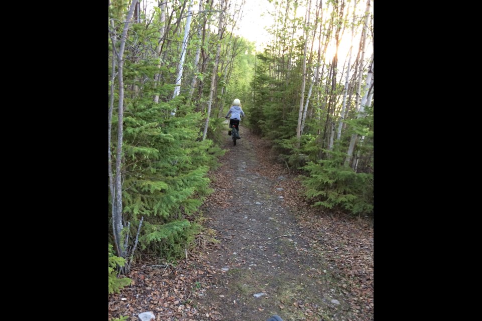 A day spent biking on the many trails in and around the Lakeland region can be ruined by thieves. And according to statistics, bike crime is on the rise.

