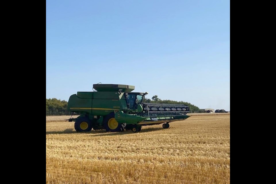 A photo from last year's fall harvest by the Northeast Growing Project.