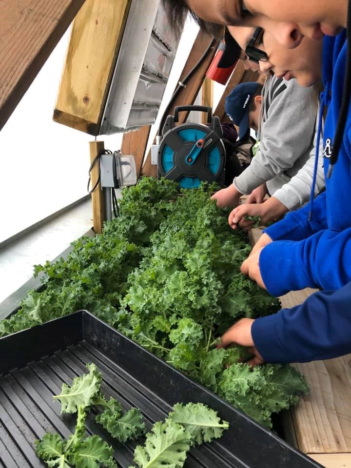 Kale- Aurora Middle School