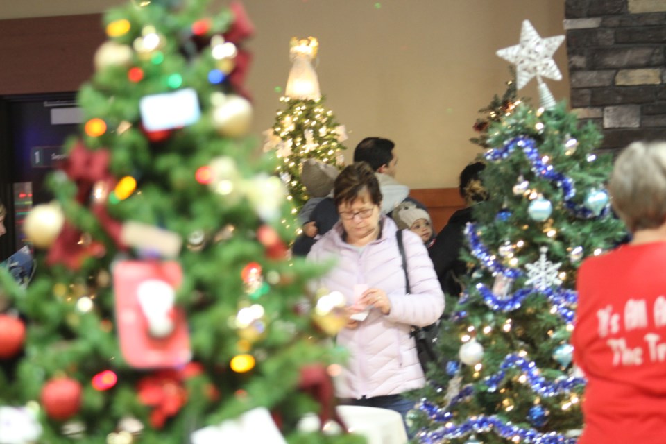 Dozens of trees are expected to light up the Community Room at the Bold Centre for the return of the fundraising Festival of Trees in November. The trees are just one part of a multi-event extended weekend for the 13th anniversary of the festive fun.