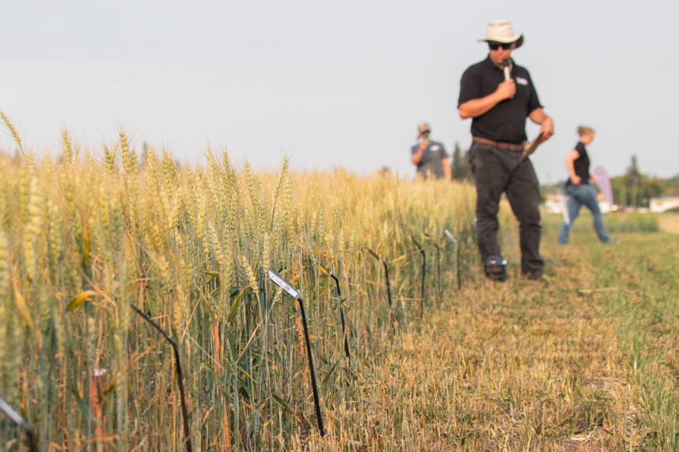 Producers toured LARA's research fields on July 31 at Fort Kent.