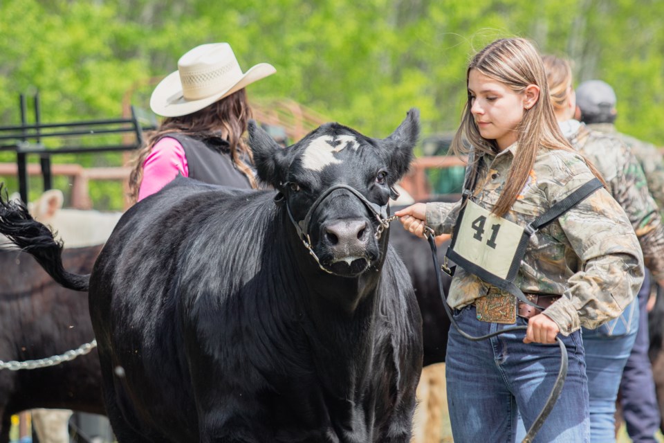 Kassidy Burdek was named the steer Grand Champion.