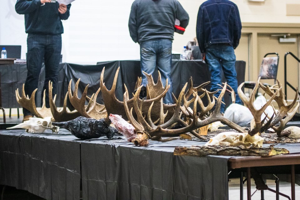 On Dec. 9, 44 hunters display their trophies at the St. Paul Recreation Centre during the St. Paul Fish and Game Association's 3rd Annual Trophy Measuring Day.