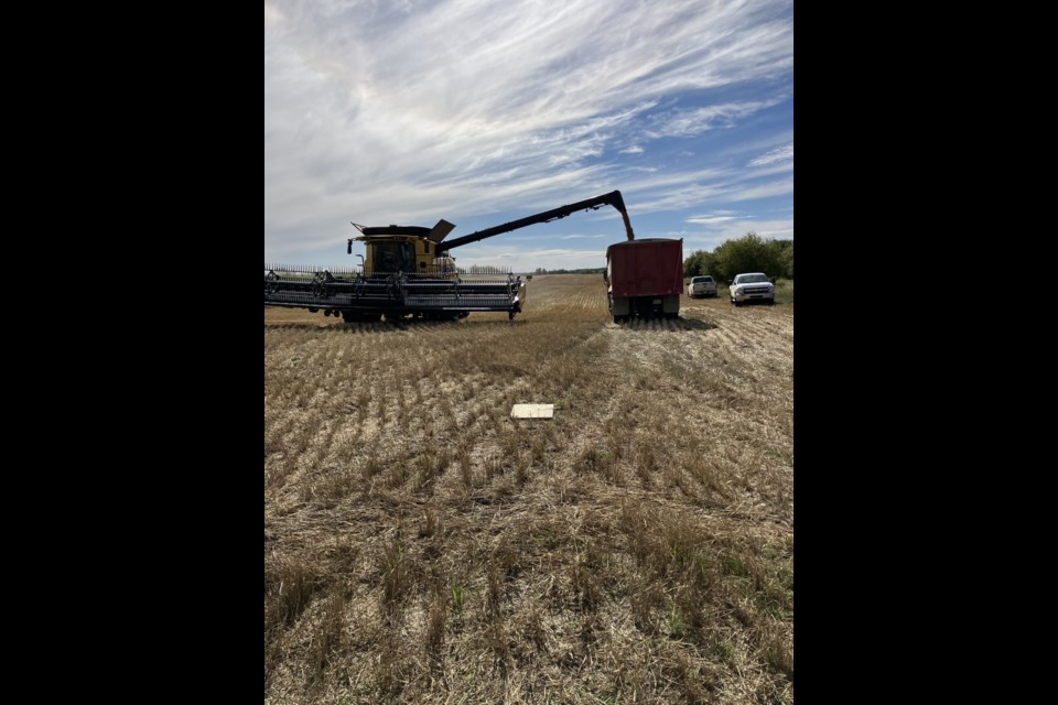 The Mallaig-based Acres of Hope Growing Project's harvest last year included 67 acres of wheat.