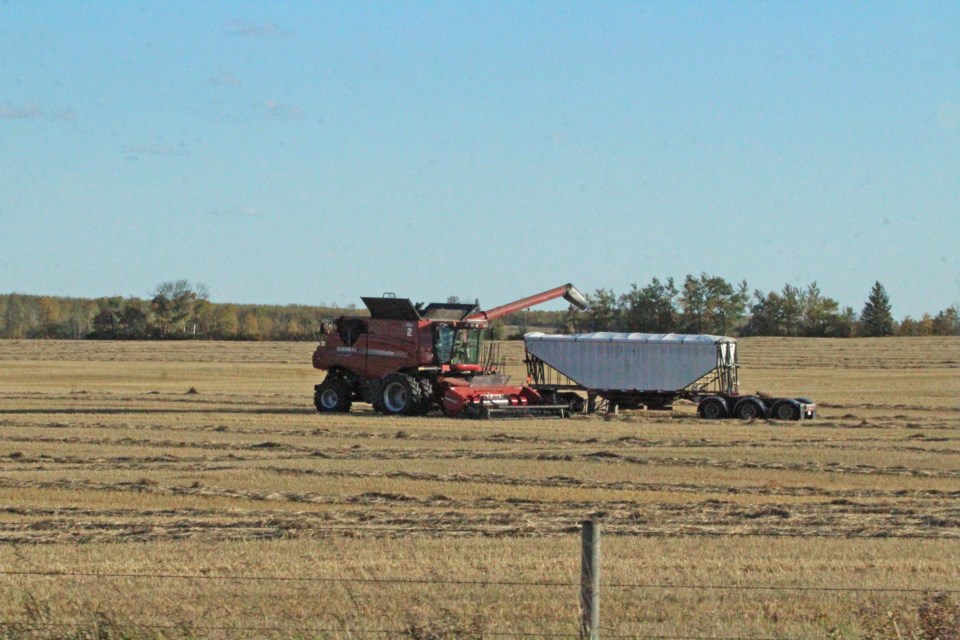 Producers in the Lakeland are busy with the harvest.