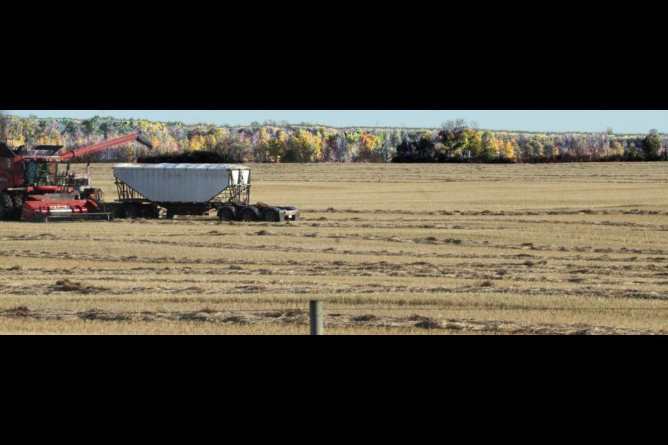 Producers in the Lakeland are busy with the harvest.