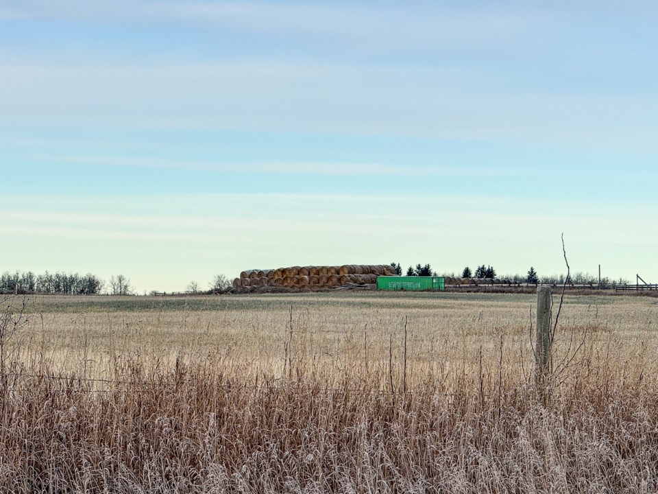 harvest