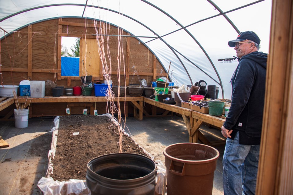 David Robinson (right) says people have already started growing inside the community garden's greenhouse.