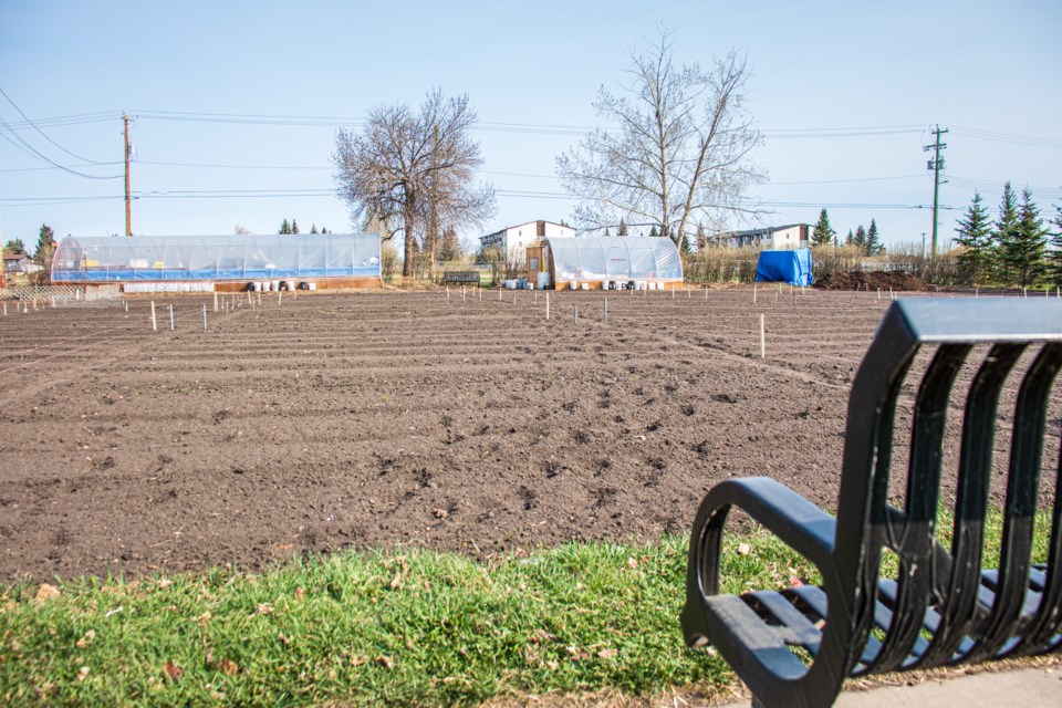 The community garden's plots can be rented by members of the community.