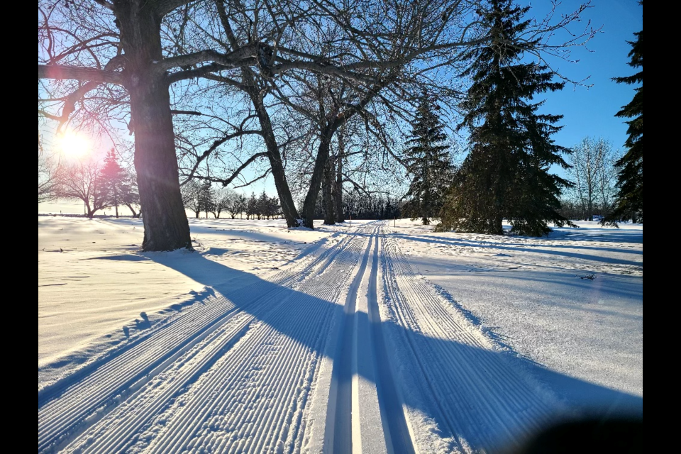 Ski trail at the St. Paul Golf Course. Track setting help skiers fly through the trails.