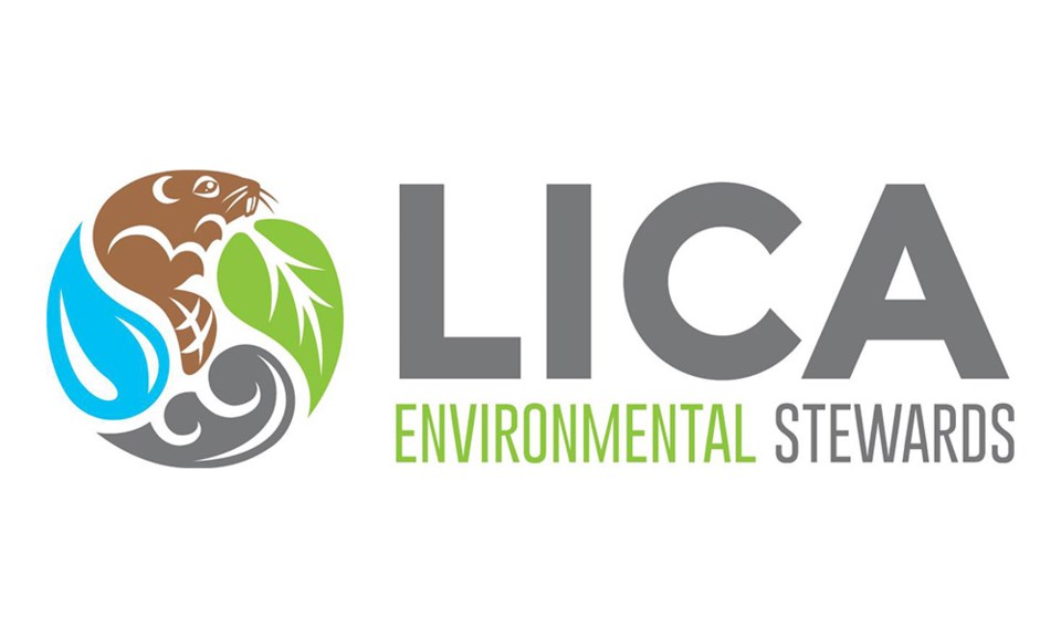 LICA logo