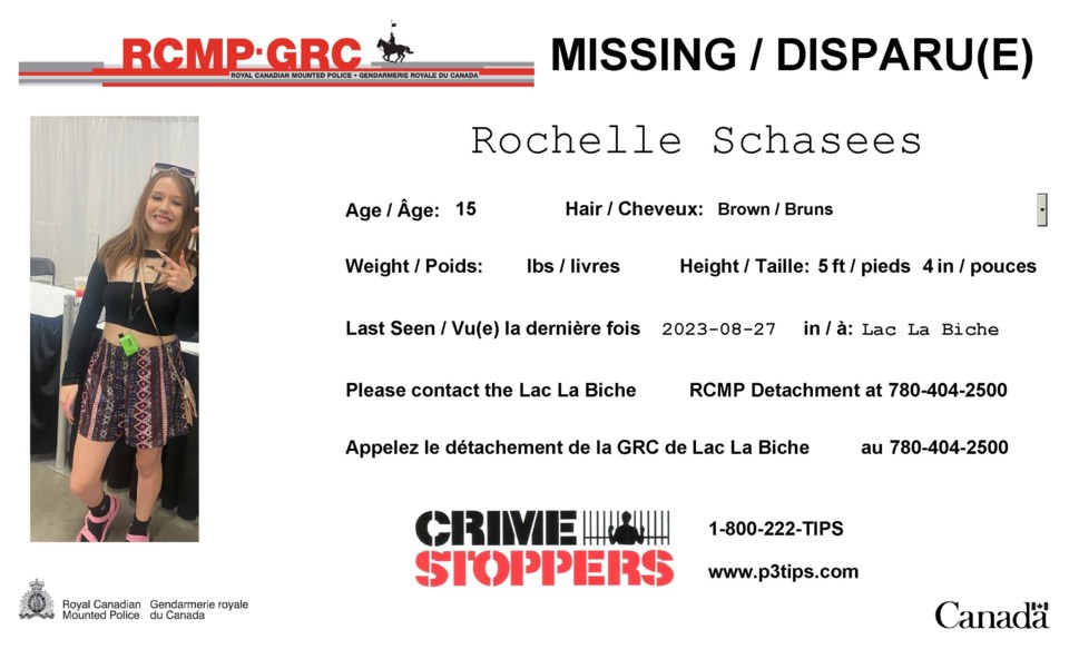 missing-person-poster-schasees