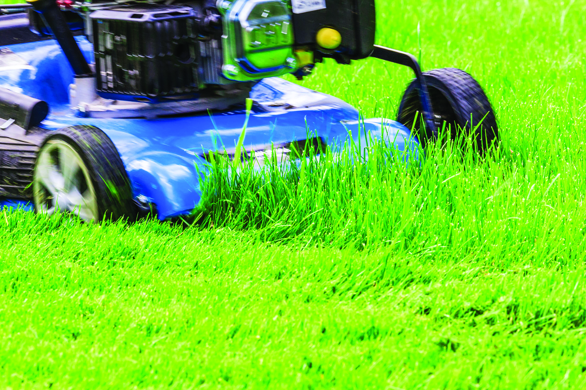 pick up grass clippings
