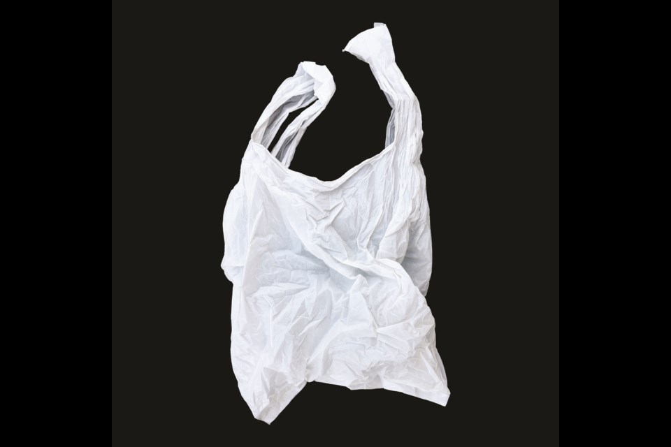 Some companies have already moved away from using single-use plastic bags as new legislation is set to come into effect later this year.