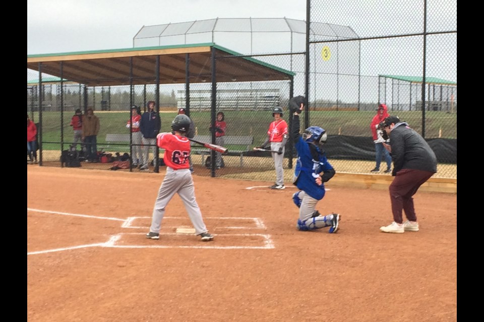 Lac La Biche County councillors have struck down a sponsorship plan to rename one of the new Bold Center baseball diamonds Elks Lodge Field.  