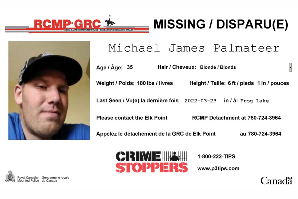 Palmateer Missing Poster