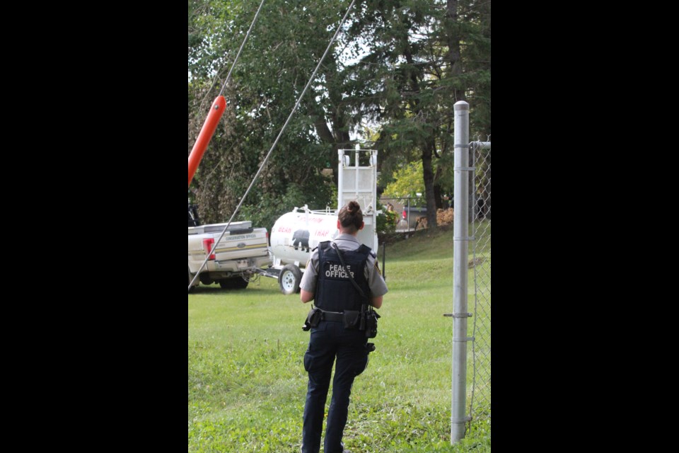 A Lac La Biche County peace officer keeps traffic and onlookers away from a treed property along Main Street where a black bear was spotted.