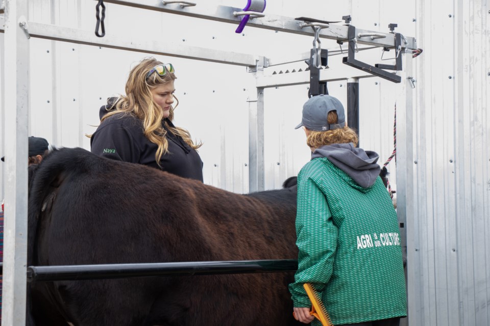 Goodridge 4-H Club members have been busy over the past couple of months.