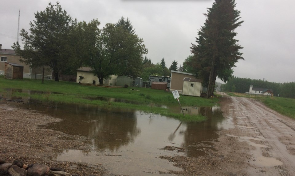 plamondon back alley wet 2020