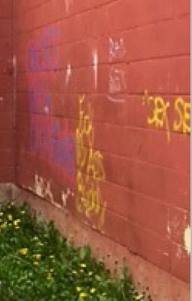 RCMP are hoping the public has details that could lead to an arrest in an ongoing vandalism investigation at Ecole Plamondon School.