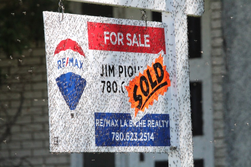 A sold sticker ... and thousands of fish flies ... are attached to a real estate sign outside a home on Lac La Biche’s Churchill Drive. Many properties are now dealing with the 'leftovers' of the most recent fishfly infestation.