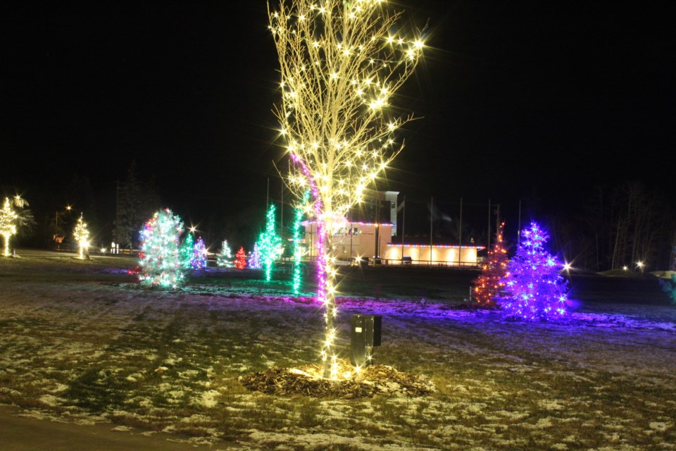 The festive lights add colour to the new McArthur Park area. The park revamp is taking place over three years at a cost of $10 million and includes pathways, grassy areas, a skatepark and communal areas.