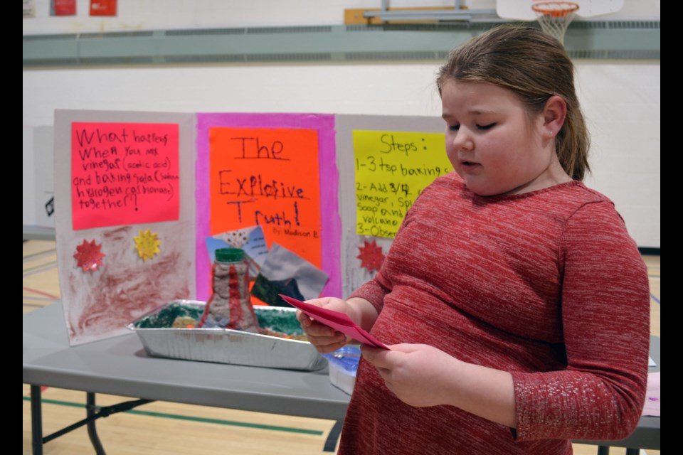Grade 3 scientist Madison Bannister explains ‘The Explosive Truth’ of volcanoes, such as the model she created for the Science Fair.