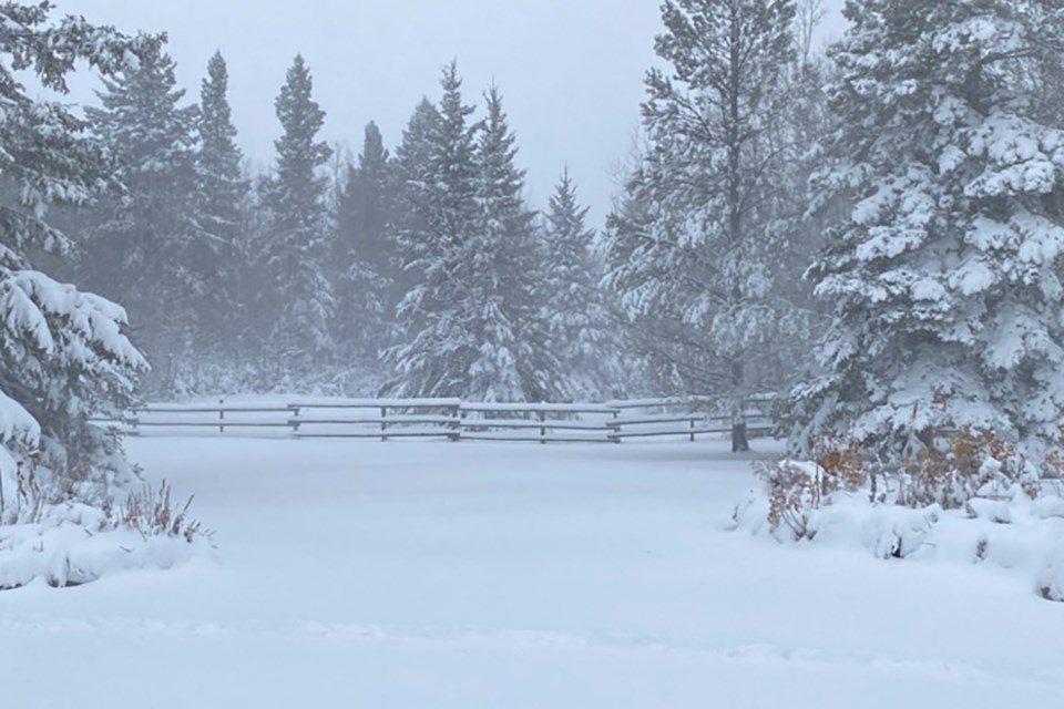 SNOW4416