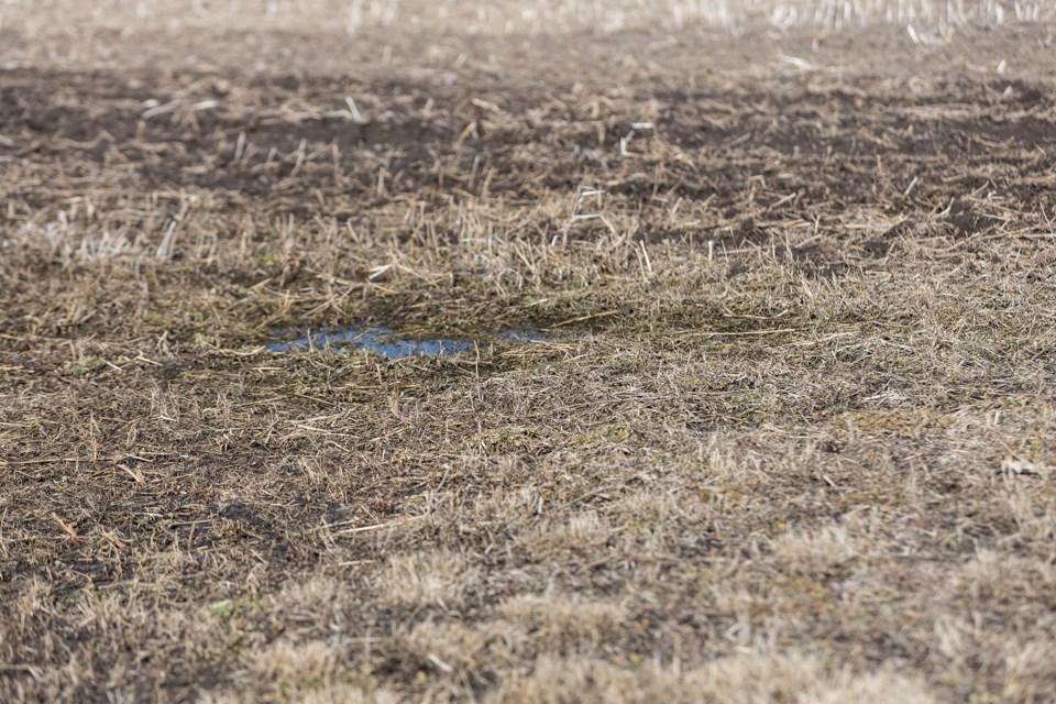 Soil moisture