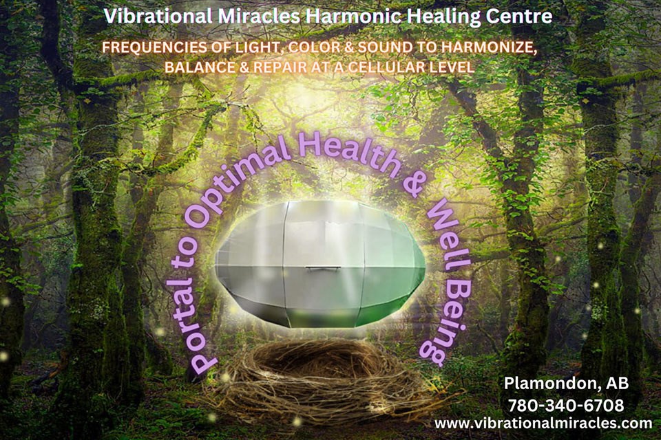 Wholistic Energy Healing with The Harmonic Egg