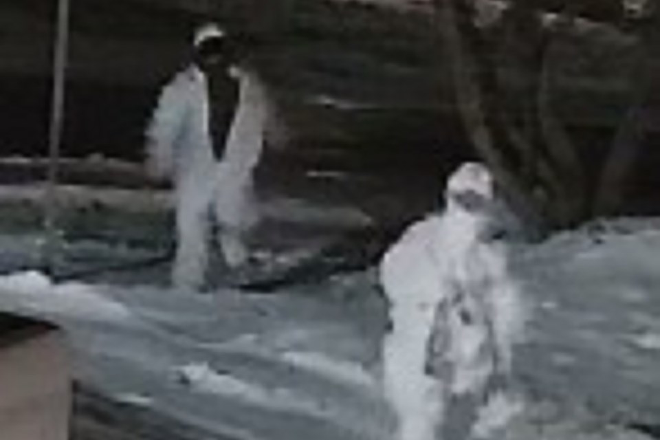 st paul suspects