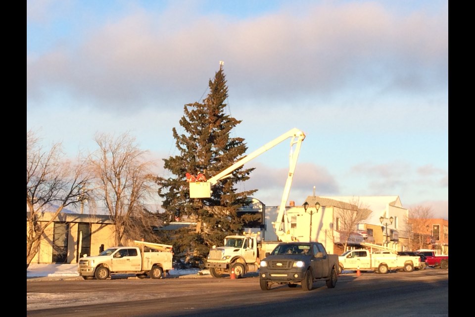 Since it was first installed, the big spruce tree has had a little curve at the top due to a one-time broken tip, say its owners.