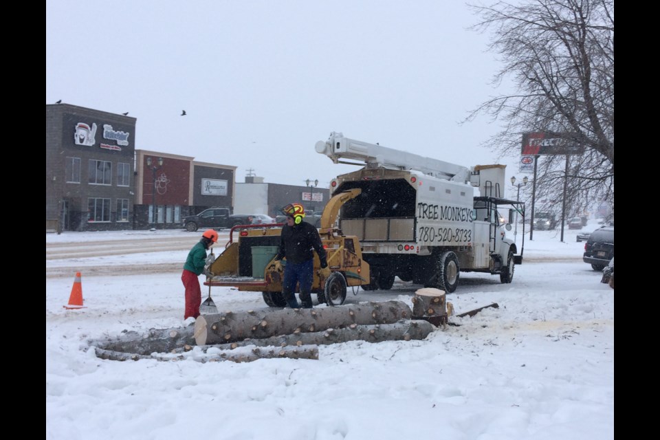 On Tuesday, the Tree Monkeys crew clears up the last pieces of the 50-foot spruce that served as the 2021 downtown Christmas tree.