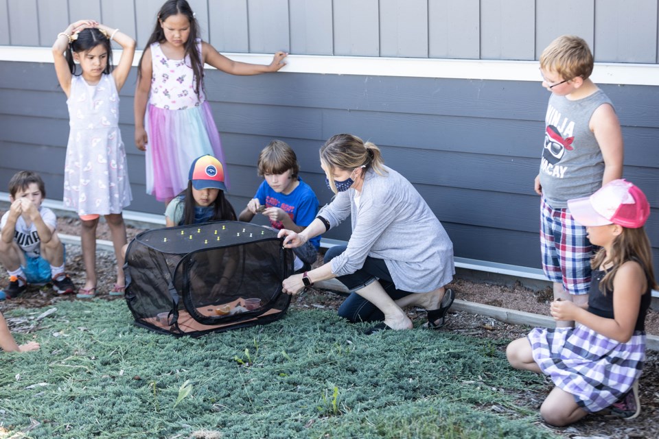 Students from Glen Avon School released butterflies just days before school was out for summer.