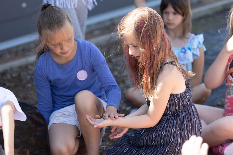 Students from Glen Avon School released butterflies just days before school was out for summer.