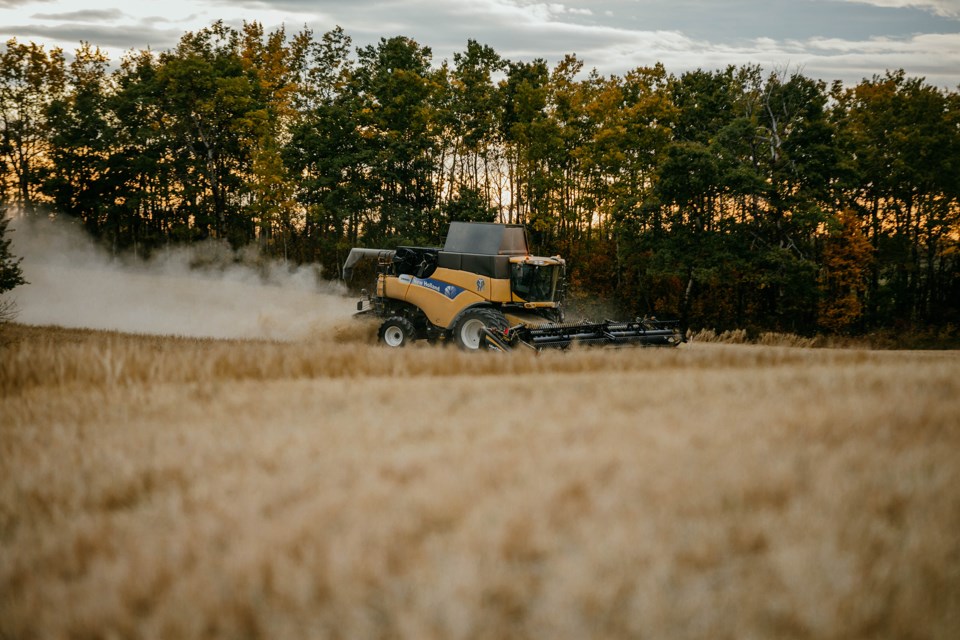 Robert Bouchard combines a barley field, north of St. Paul, on Sept. 25.