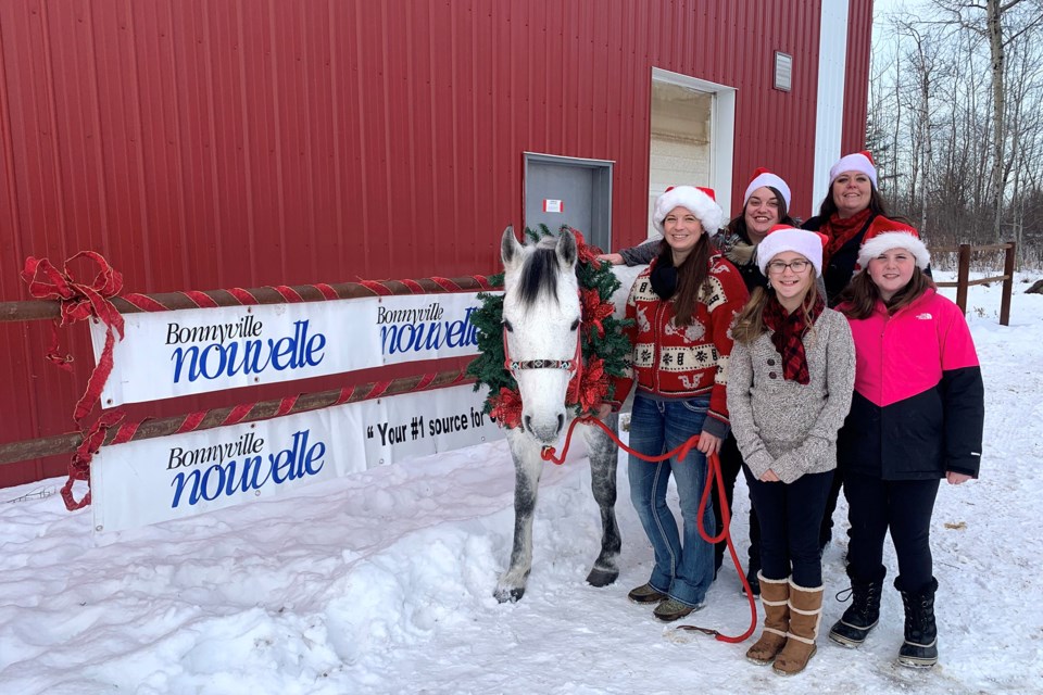 Attendees would have seen Puppin from Neighbours Ranch pulling an open sleigh for the Bonnyville Nouvelle float. Photo submitted. 