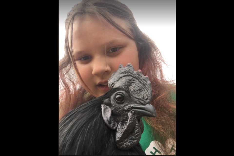 Katie-Mae Brown with a main character of her chicken project that will be highlighted at the annual 4H Achievement Day on June 9 at Lac La Biche's Lakeland Agricom.