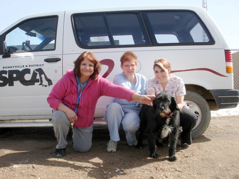 Bonnyville &#038; District SPCA staff say goodbye to Rosey the dog in mid-April before she flew to her new home in Indiana. Pictured with Rosey are, from left, shelter