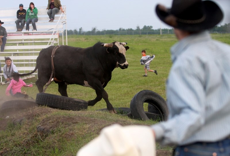 Tyrel Charlton of Bonnyville keeps a close eye on an escaped bull at the Glendon Rough Stock Rodeo as rodeo spectators flee or watch in amazement after the bull jumped a