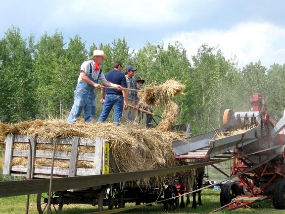 With blue Alberta skies overhead, the annual Haying in the 30s event drew thousands of people to Mallaig July 31 and Aug. 1.